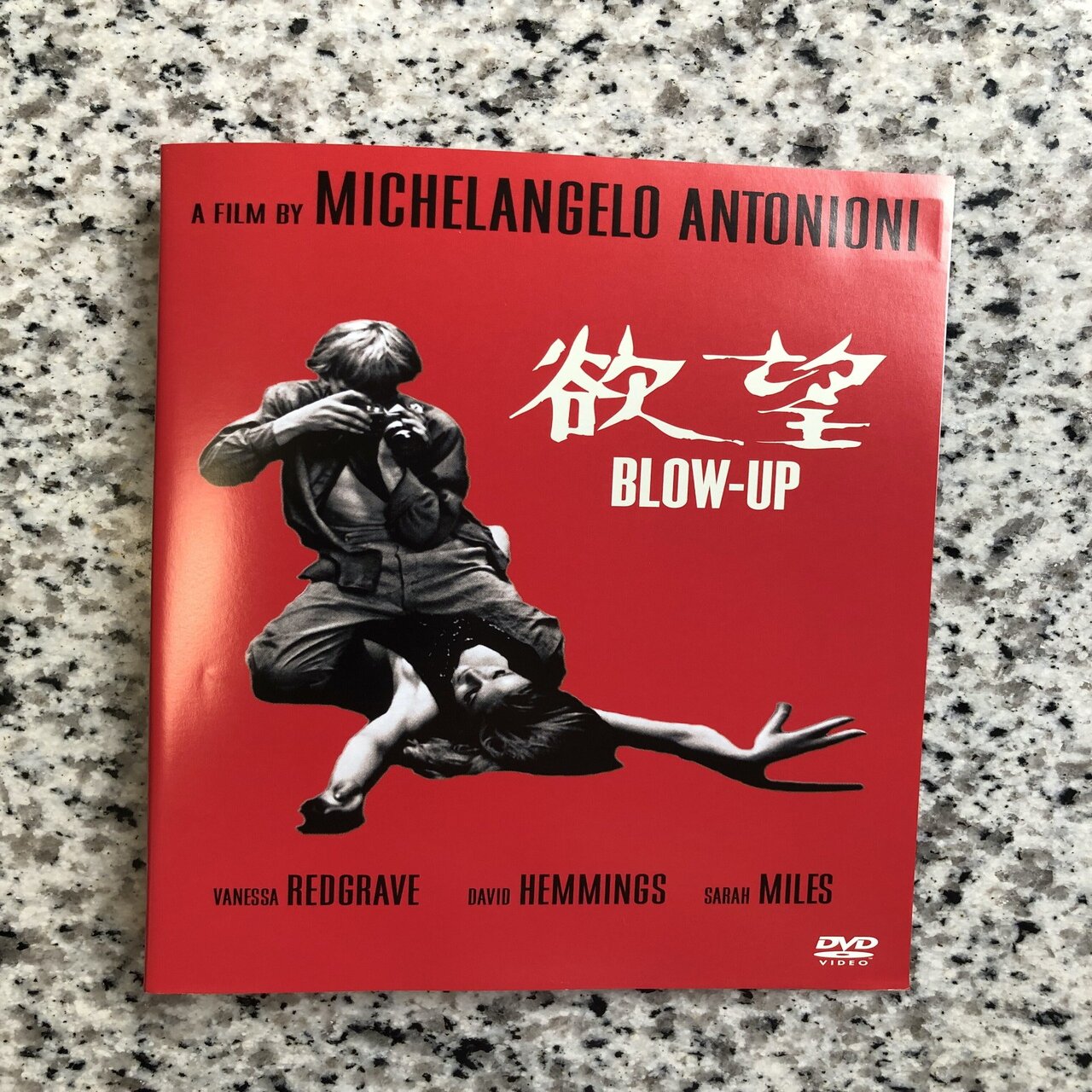 No.203 僕の映画ノート（10）「欲望（Blow-up）」/ ミケランジェロ