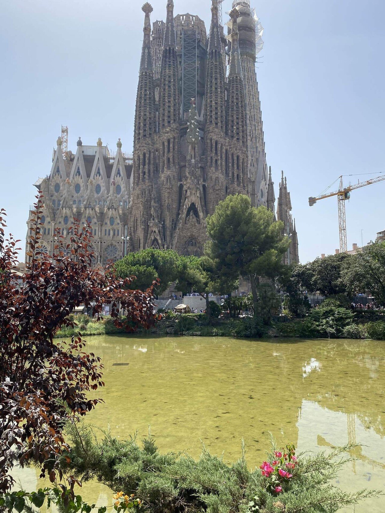 サグラダファミリアと日本｜高野 光 Hikaru Takano