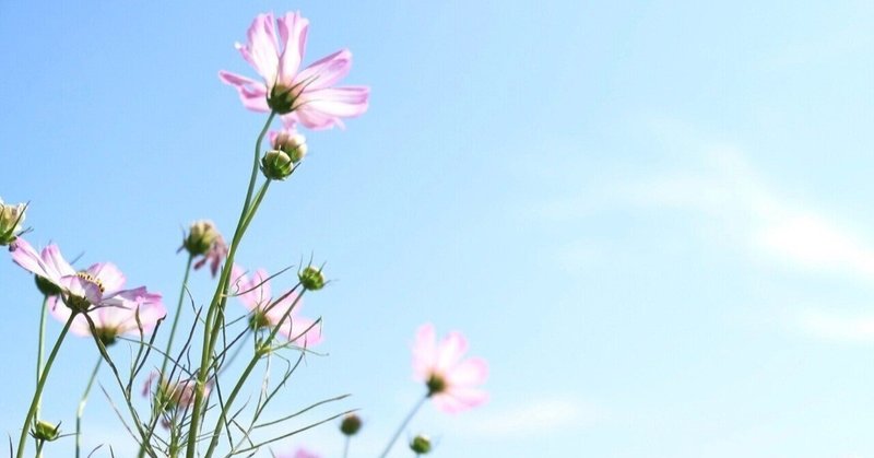 秋の季語 花野 による五句です つる Note