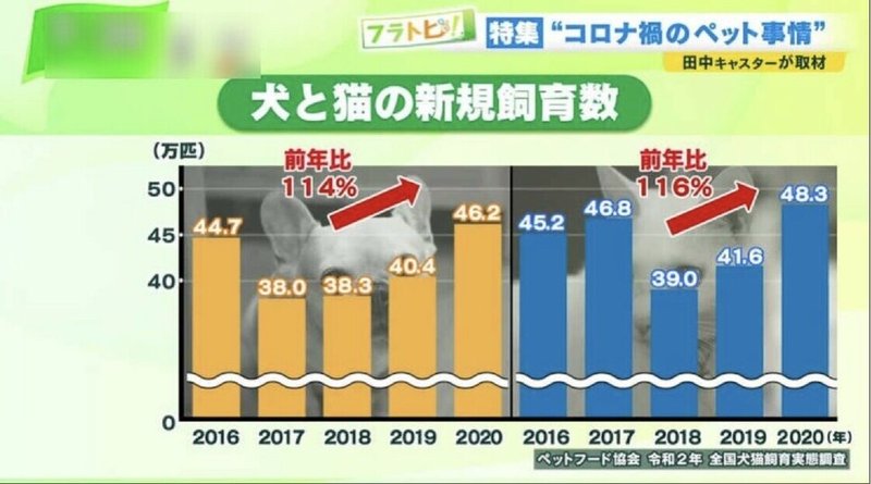 名称未設定