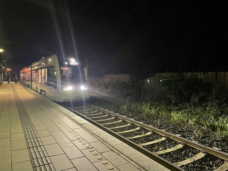 画像12