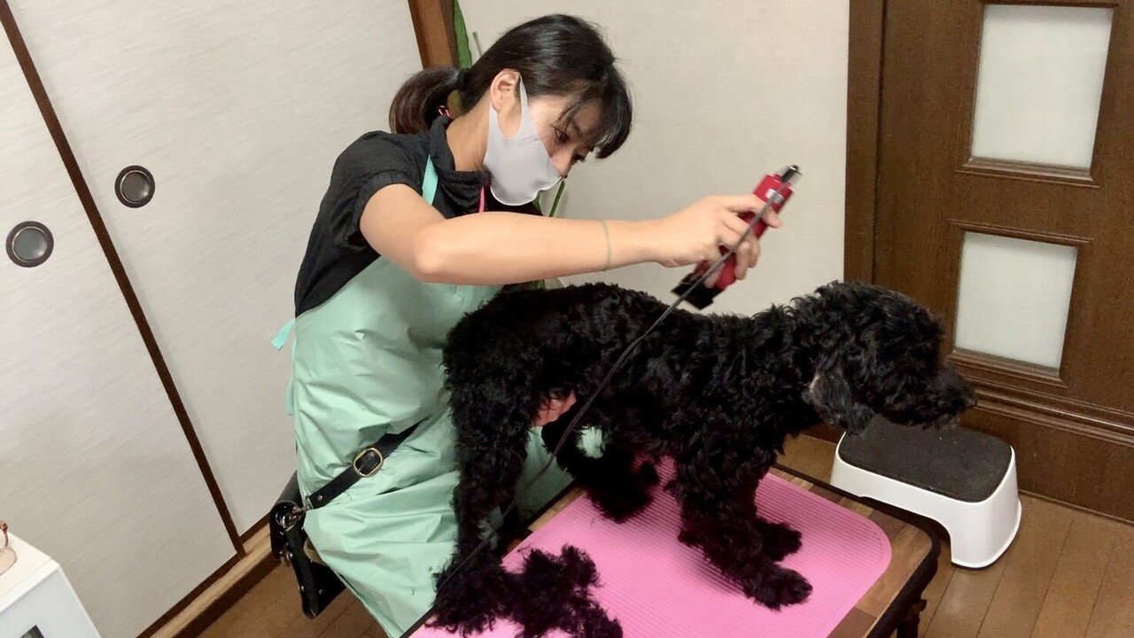 トリミング業界を変えて トリマーの年収を 100万円 アップする ホームトリマー Note トリミング業界を変えて トリマーの年収を 100万円 アップする ホームトリマー Note