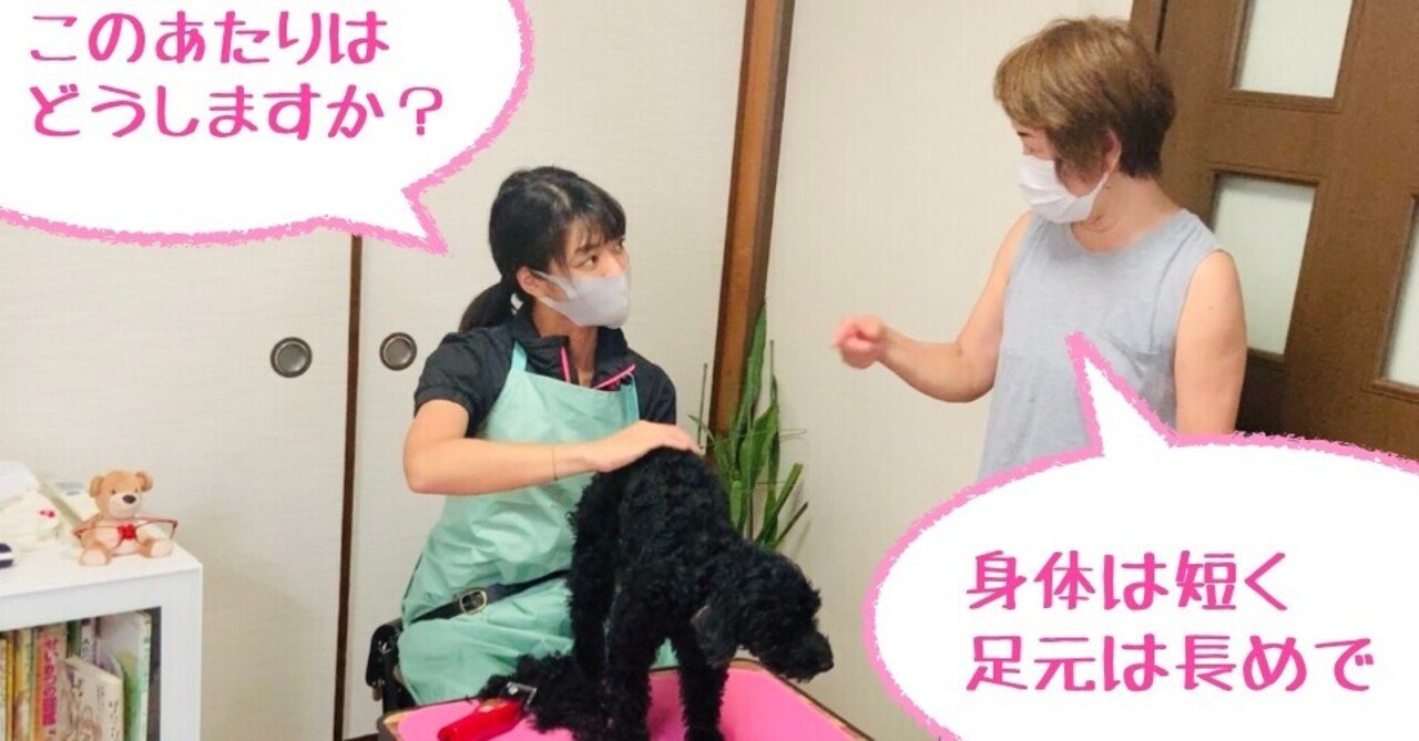 トリミング業界を変えて トリマーの年収を 100万円 アップする ホームトリマー Note トリミング業界を変えて トリマーの年収を 100万円 アップする ホームトリマー Note