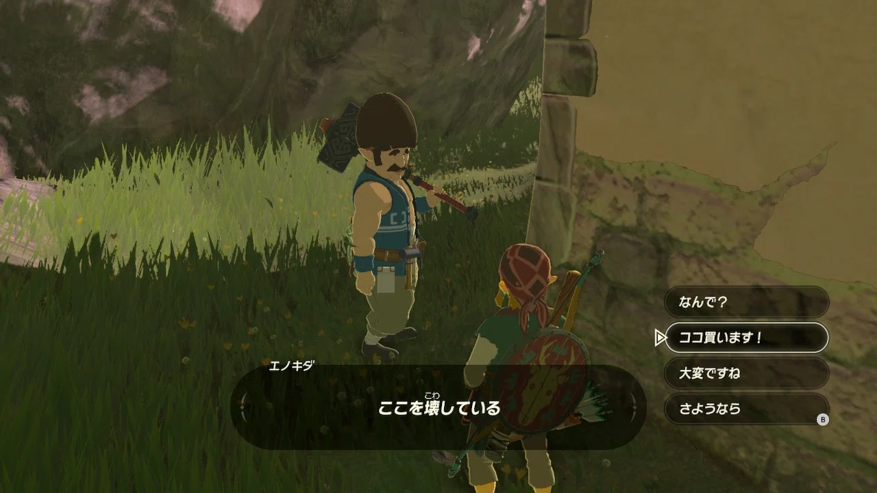 ゼルダの伝説ブレス オブ ザ ワイルド 2周目1話 ドケチ生活でマイホーム購入 ネタバレ スクショあり げーらびーず Note