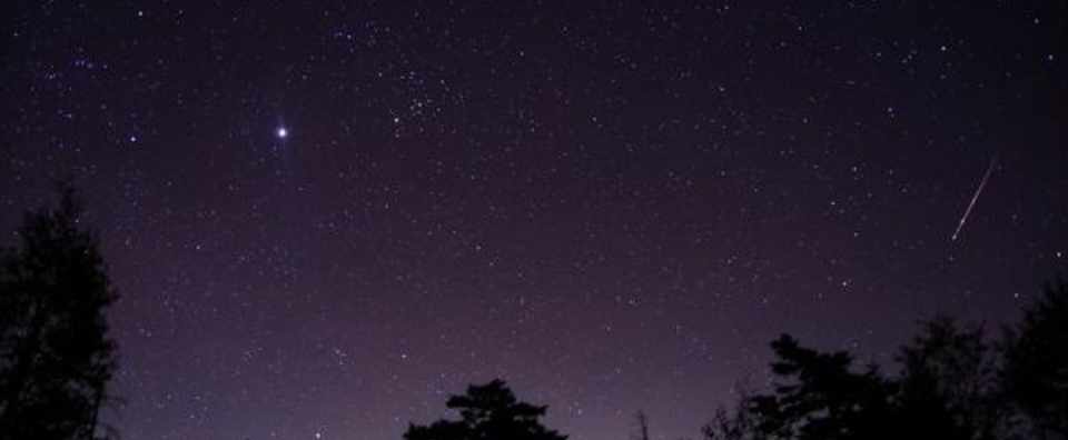 すべての美しい馬 Tannefoto Note