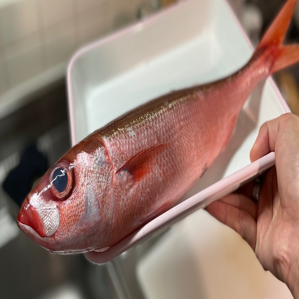 食べ魚コレ010 ハチビキ しのぶめし Note