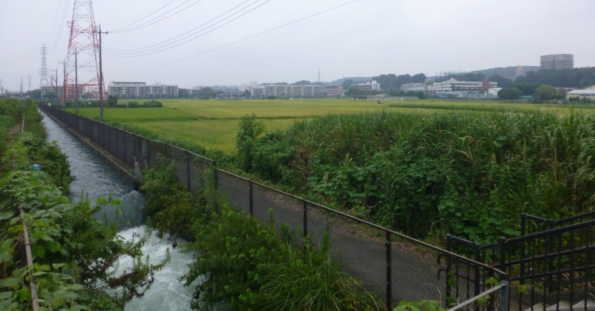 神奈川県中央部にある秘境駅へ行く！｜Shun-Hayabusa