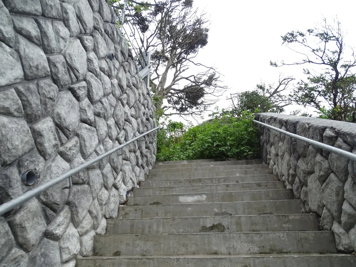 画像6