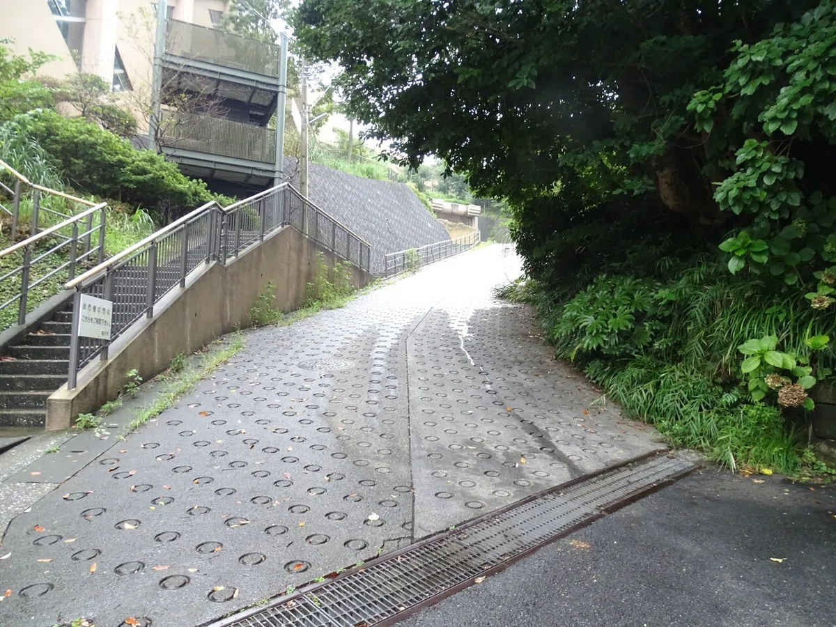画像14