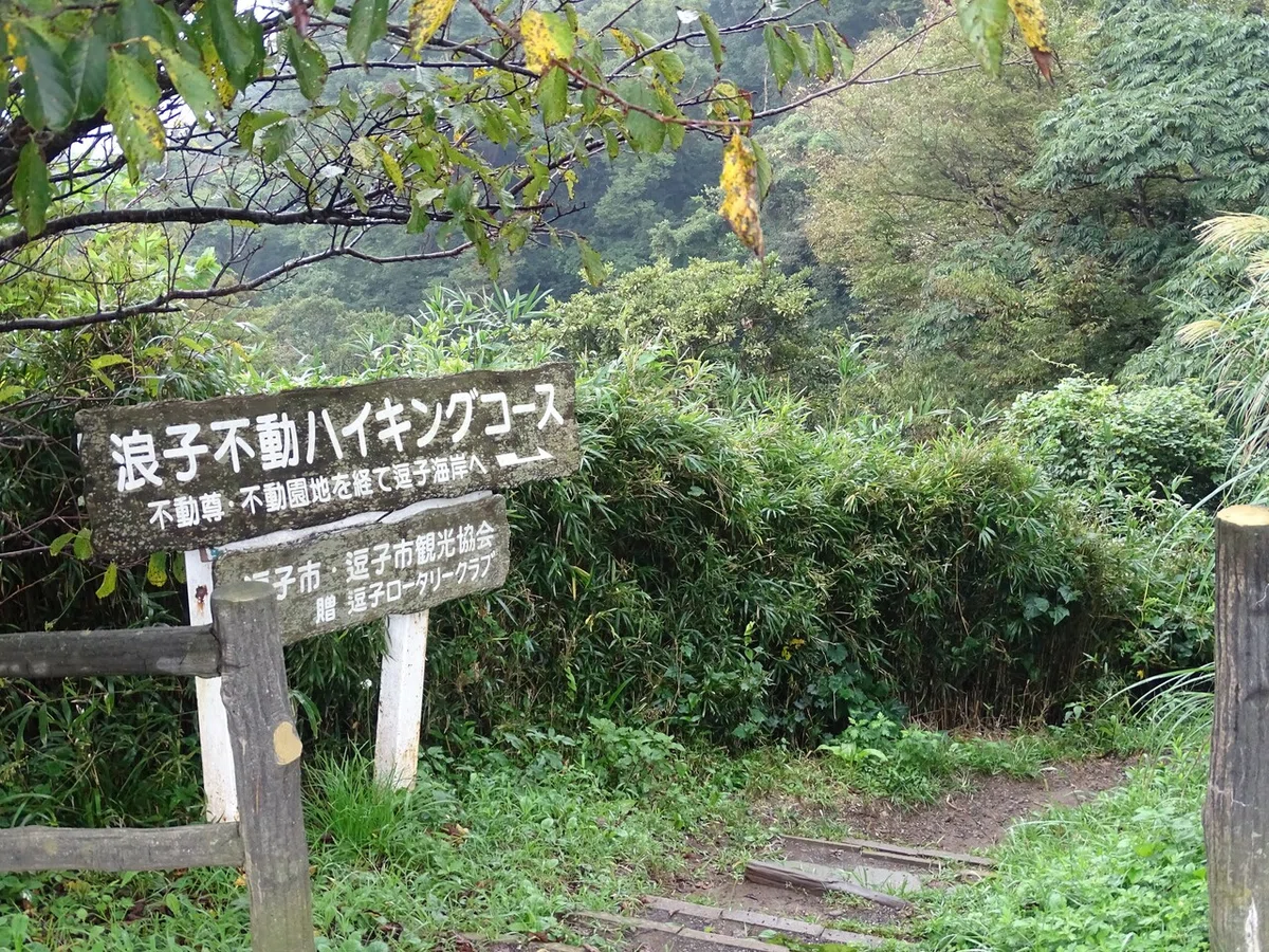 画像15