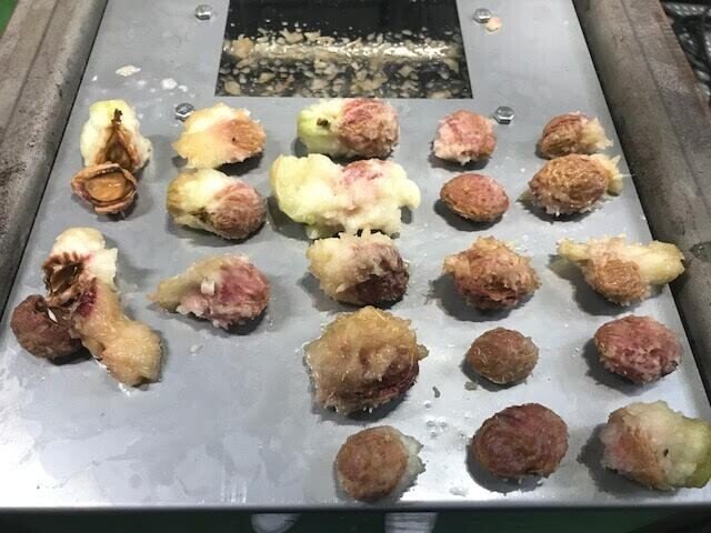 画像21