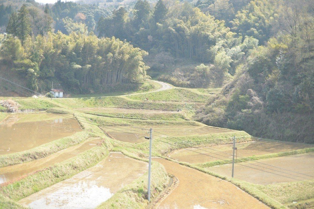 島根の田舎の春はこんな感じ。｜くらしアトリエ(地域と暮らしの発信）