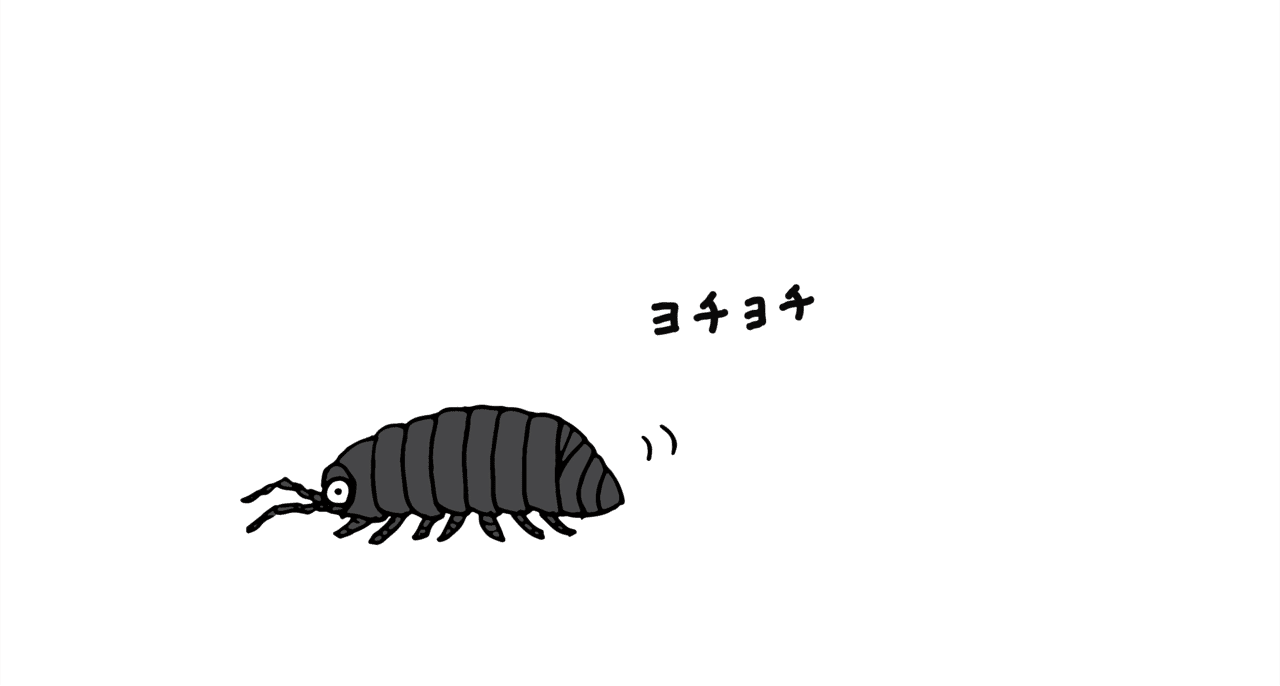 問題 ダンゴムシに一番近い生き物は誰でしょう 浜松科学館 みらいーら 問題 ダンゴムシに一番近い生き物は誰でしょう 浜松科学館 みらいーら