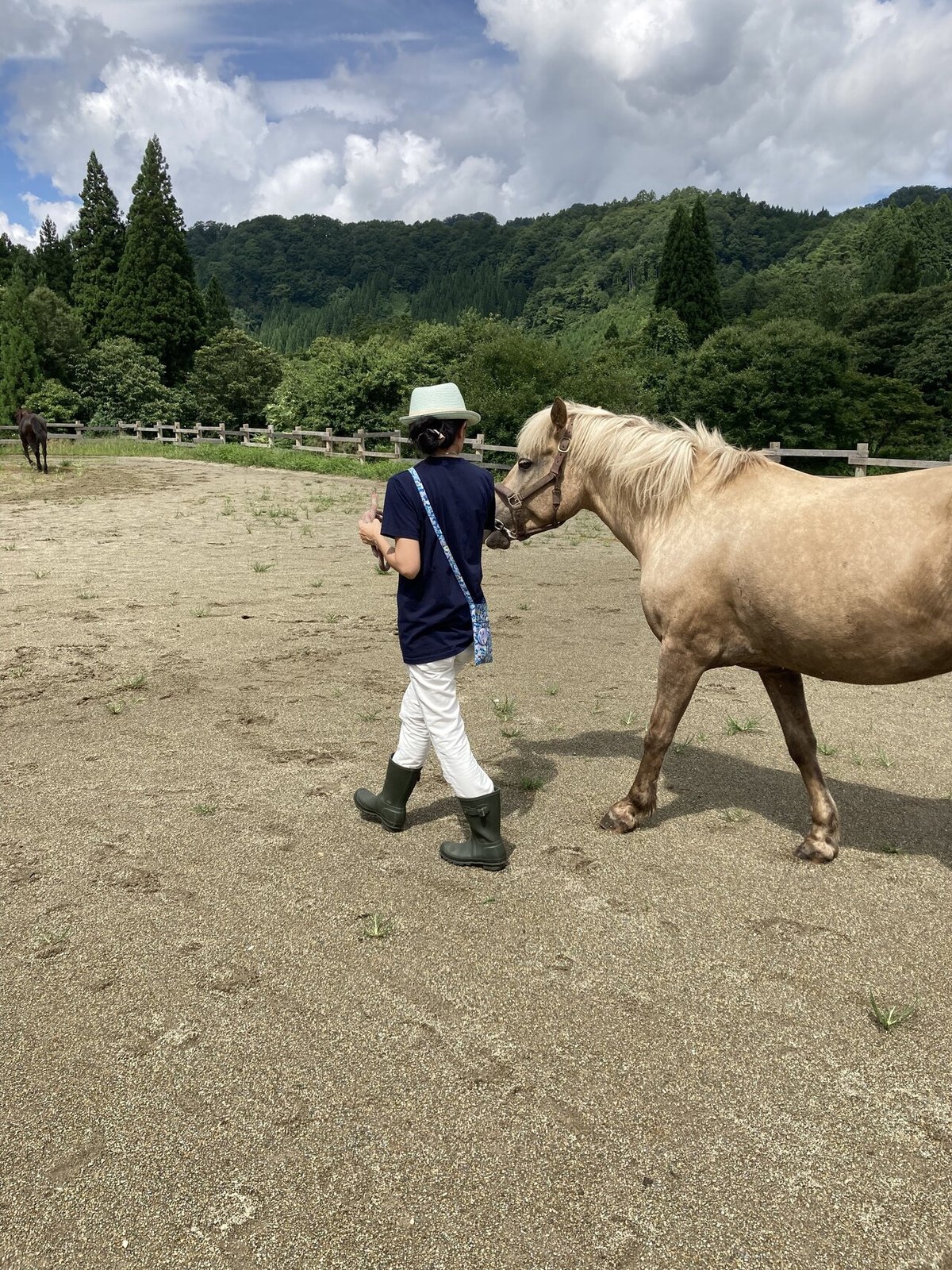 東北ドライブの旅 まさかのホースセラピー体験！①「セラピー