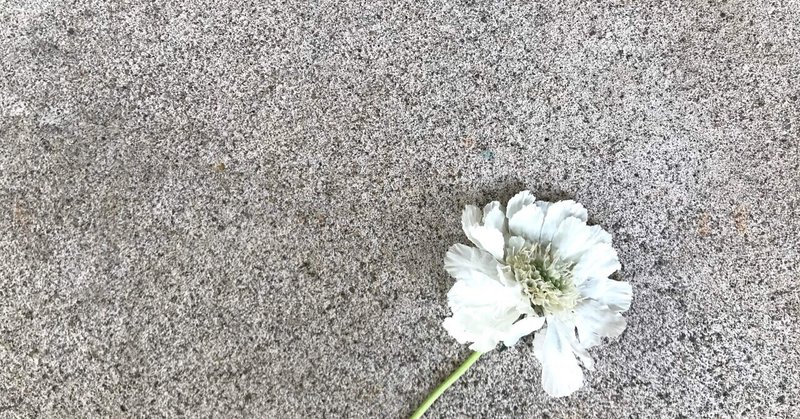 恋愛より信頼 アラフォー主婦の愛とか恋とか性とかの日記 慈子 あいこ Note 恋愛より信頼 アラフォー主婦の愛とか恋とか性とかの日記 慈子 あいこ Note