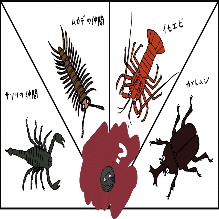 問題 ダンゴムシに一番近い生き物は誰でしょう 浜松科学館 みらいーら