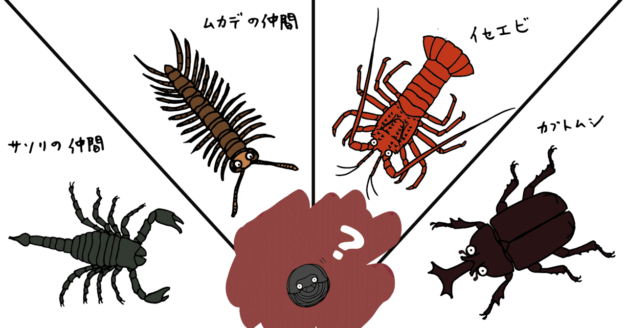 問題 ダンゴムシに一番近い生き物は誰でしょう 浜松科学館 みらいーら 問題 ダンゴムシに一番近い生き物は誰でしょう 浜松科学館 みらいーら