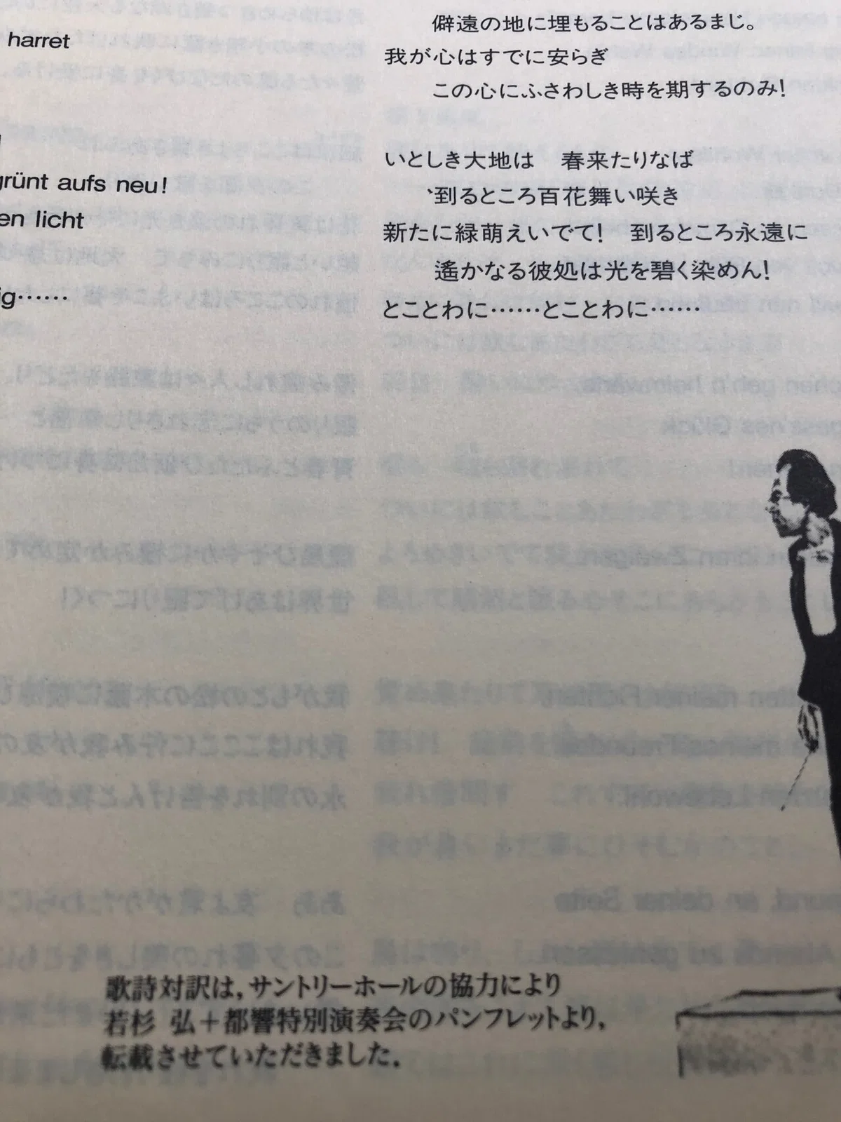 画像13