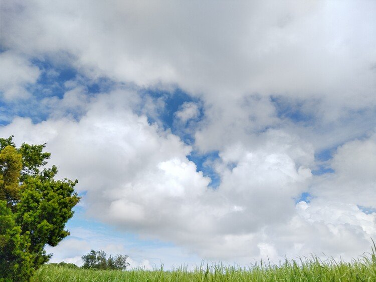 雨上がりの晴れ間。
見た目は気持ちよさそうな雰囲気だけど、鬼のような湿度で、やる気減退させてくれた！