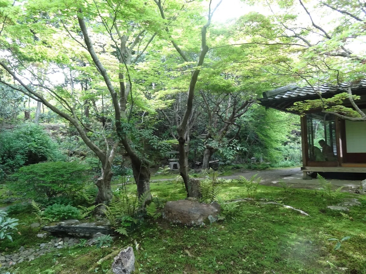 画像7