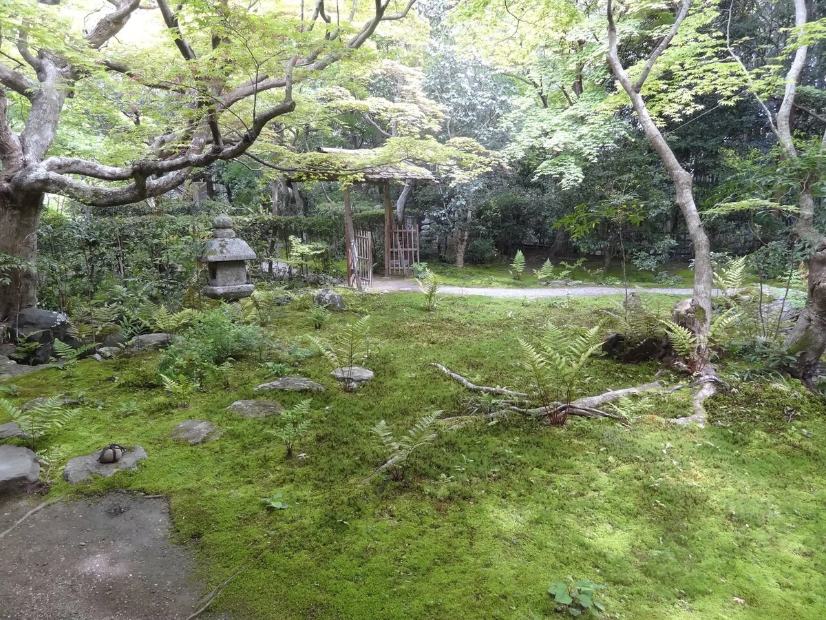 画像7