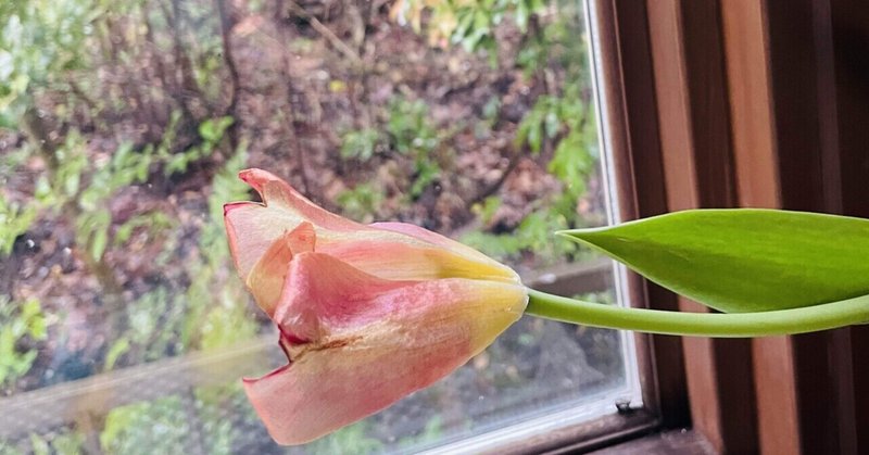 正しい街 の新着タグ記事一覧 Note つくる つながる とどける