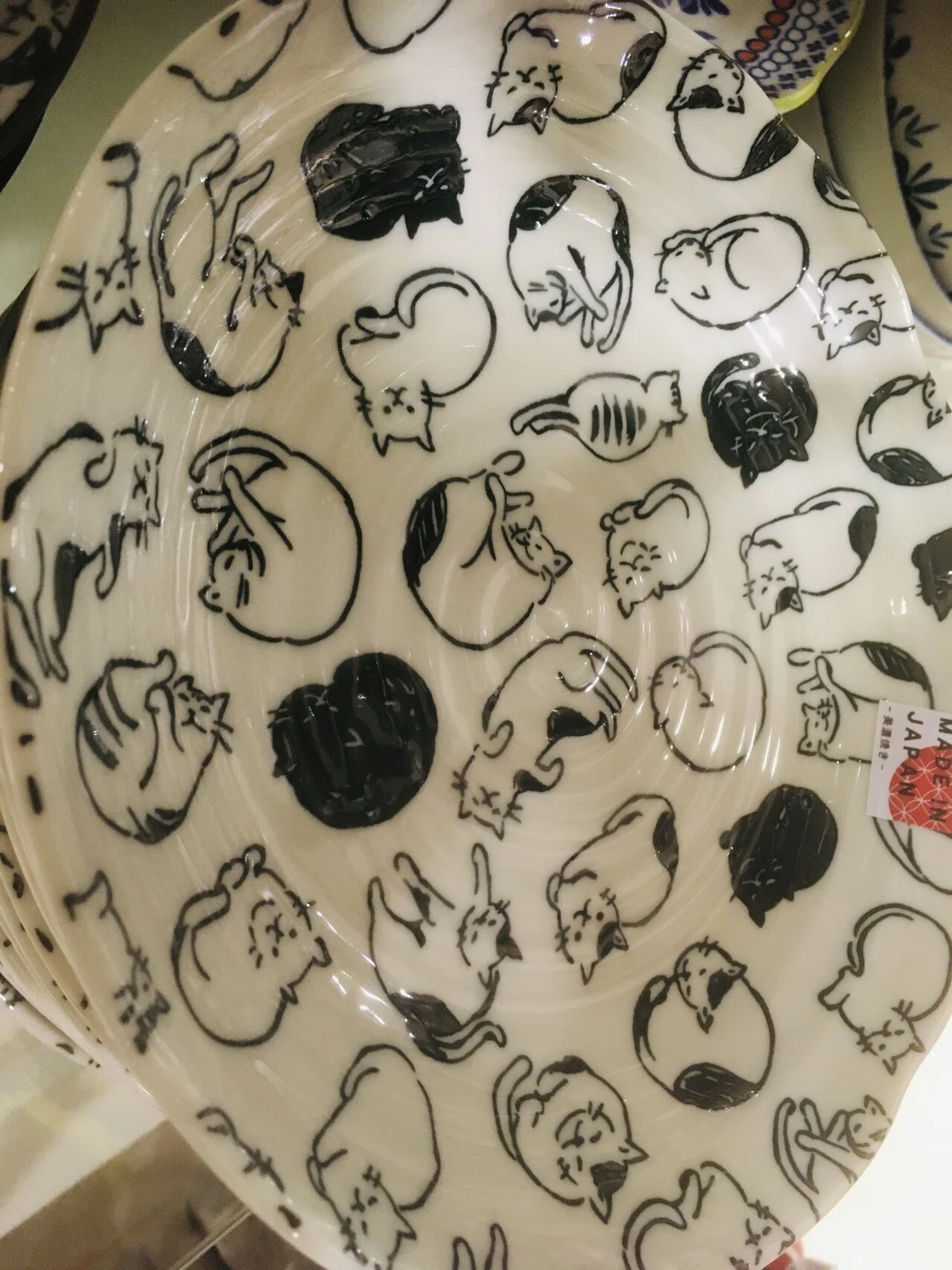 画像15
