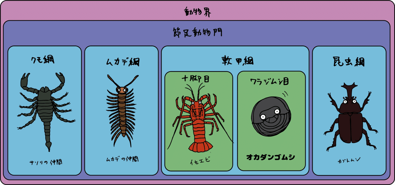 問題 ダンゴムシに一番近い生き物は誰でしょう 浜松科学館 みらいーら