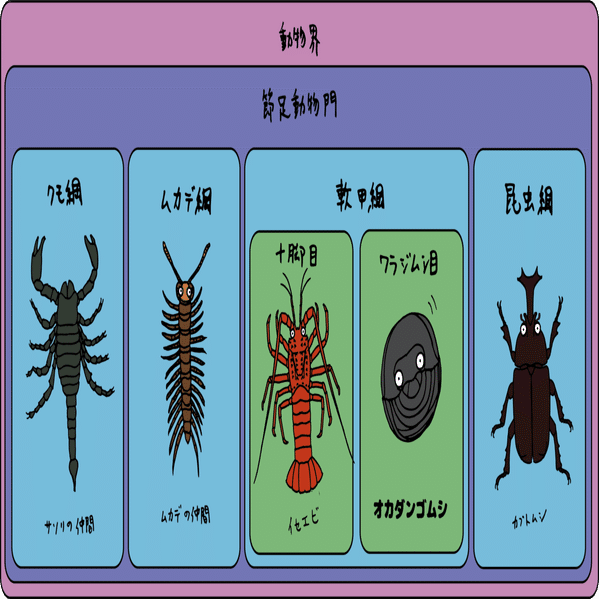 問題 ダンゴムシに一番近い生き物は誰でしょう 浜松科学館 みらいーら