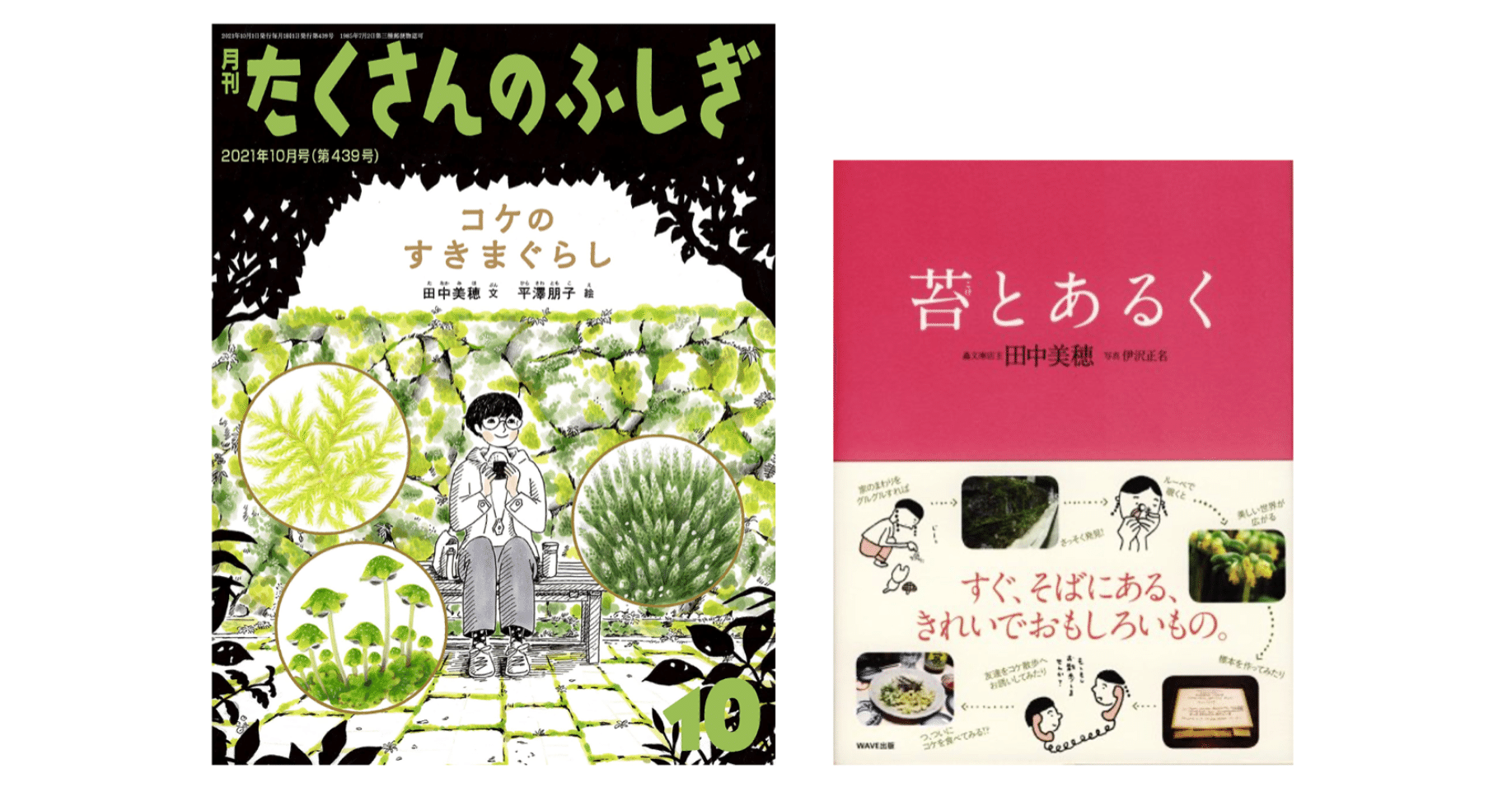 田中美穂 『コケのすきまぐらし』｜KAZE