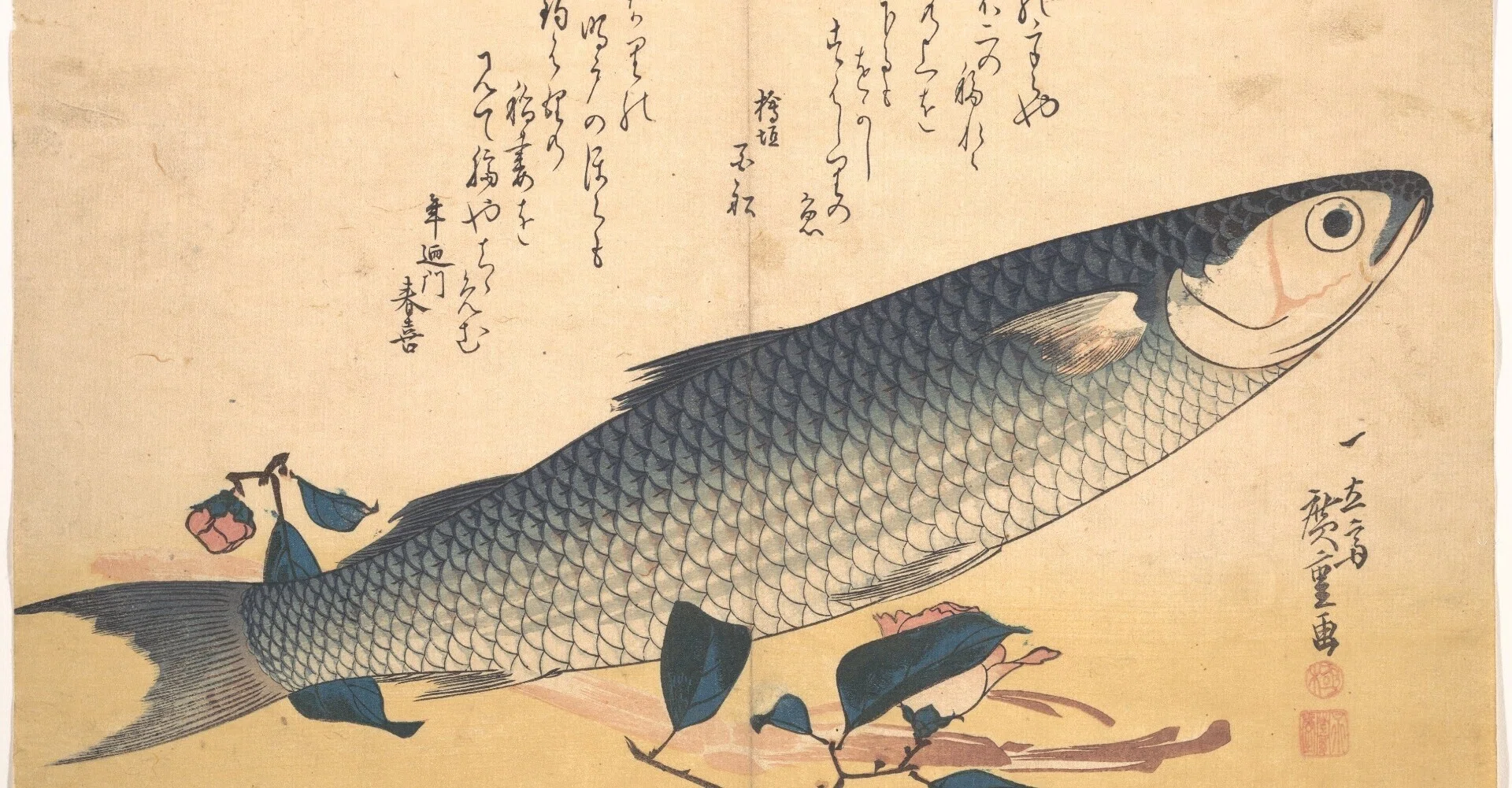 名言との対話」9月15日。奥谷喬司「願えばお魚はやってくる」｜久恒 啓一