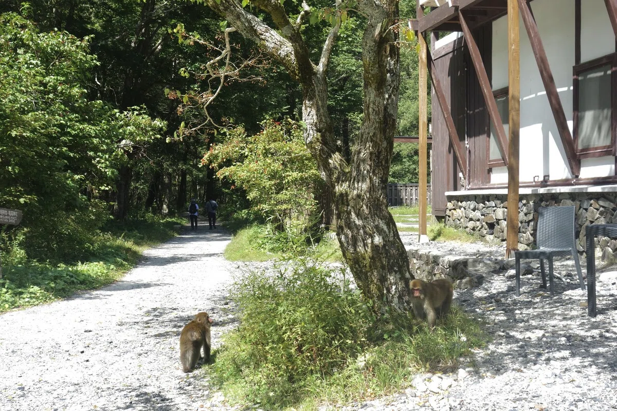 画像6