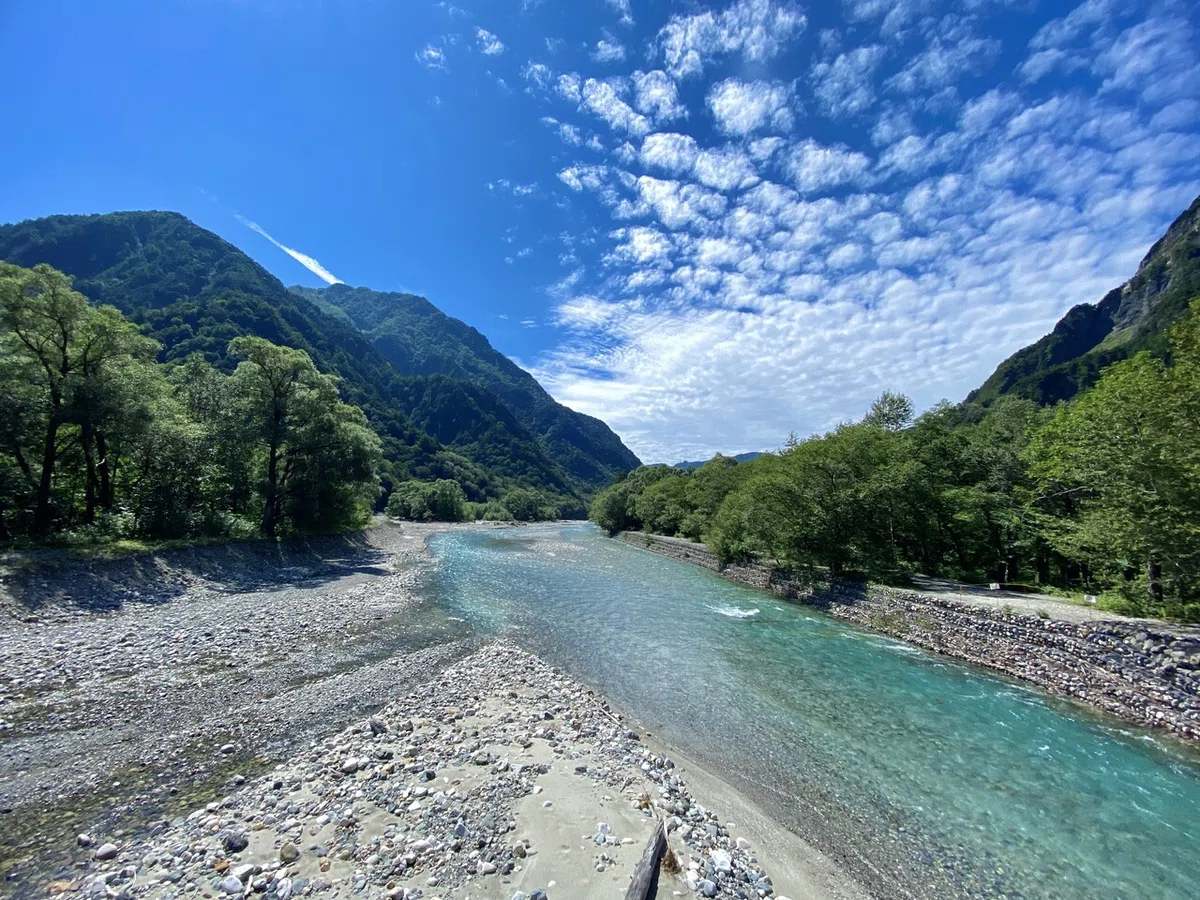 画像11