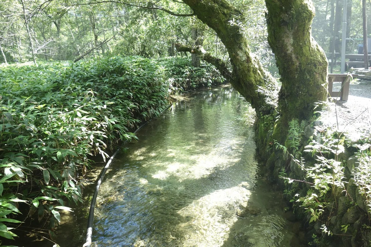 画像13