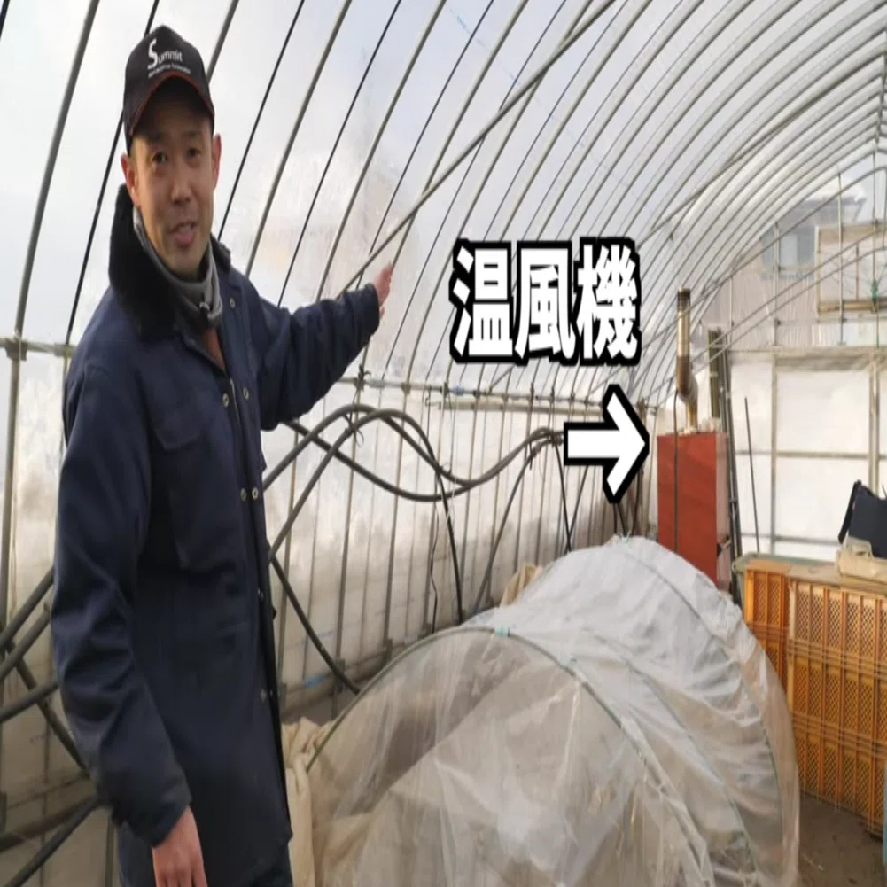 オレンジ色培土器（羽大きめ二枚羽　調節可） 楽天市場】[エントリーでP10倍◇5/23 20時〜] ホンダ耕うん機