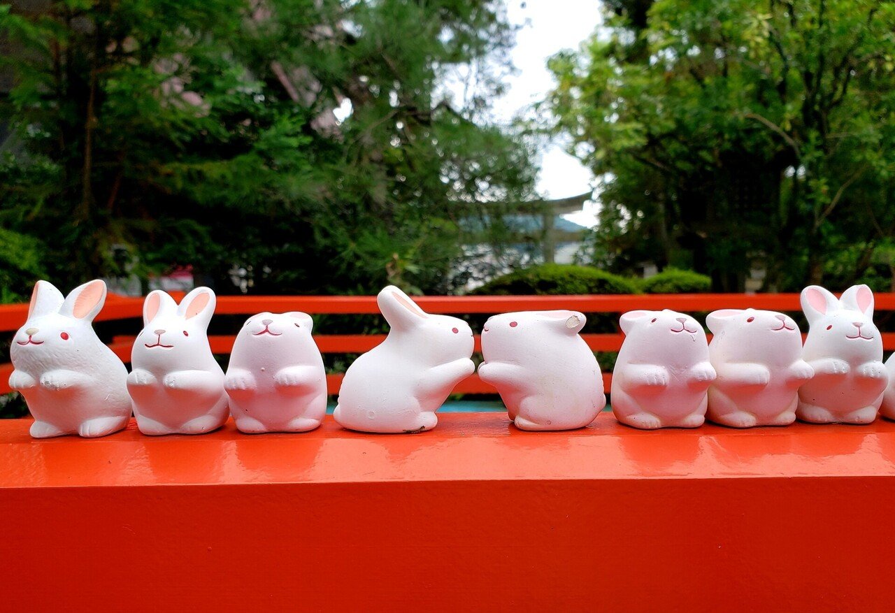 京都へ行こう 8 ひばりん Note