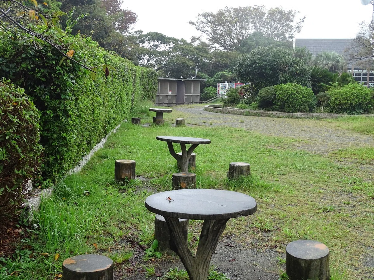 画像24