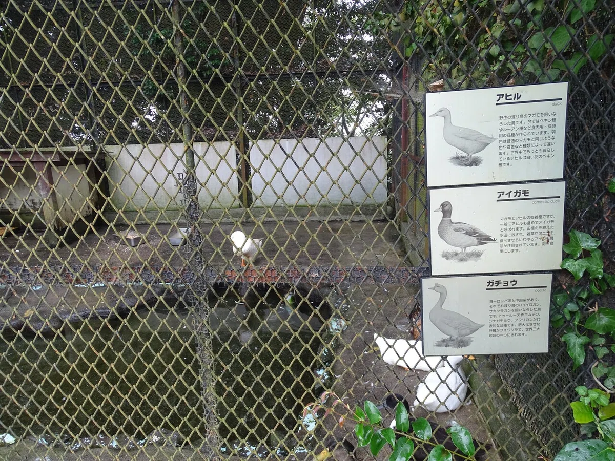 画像25