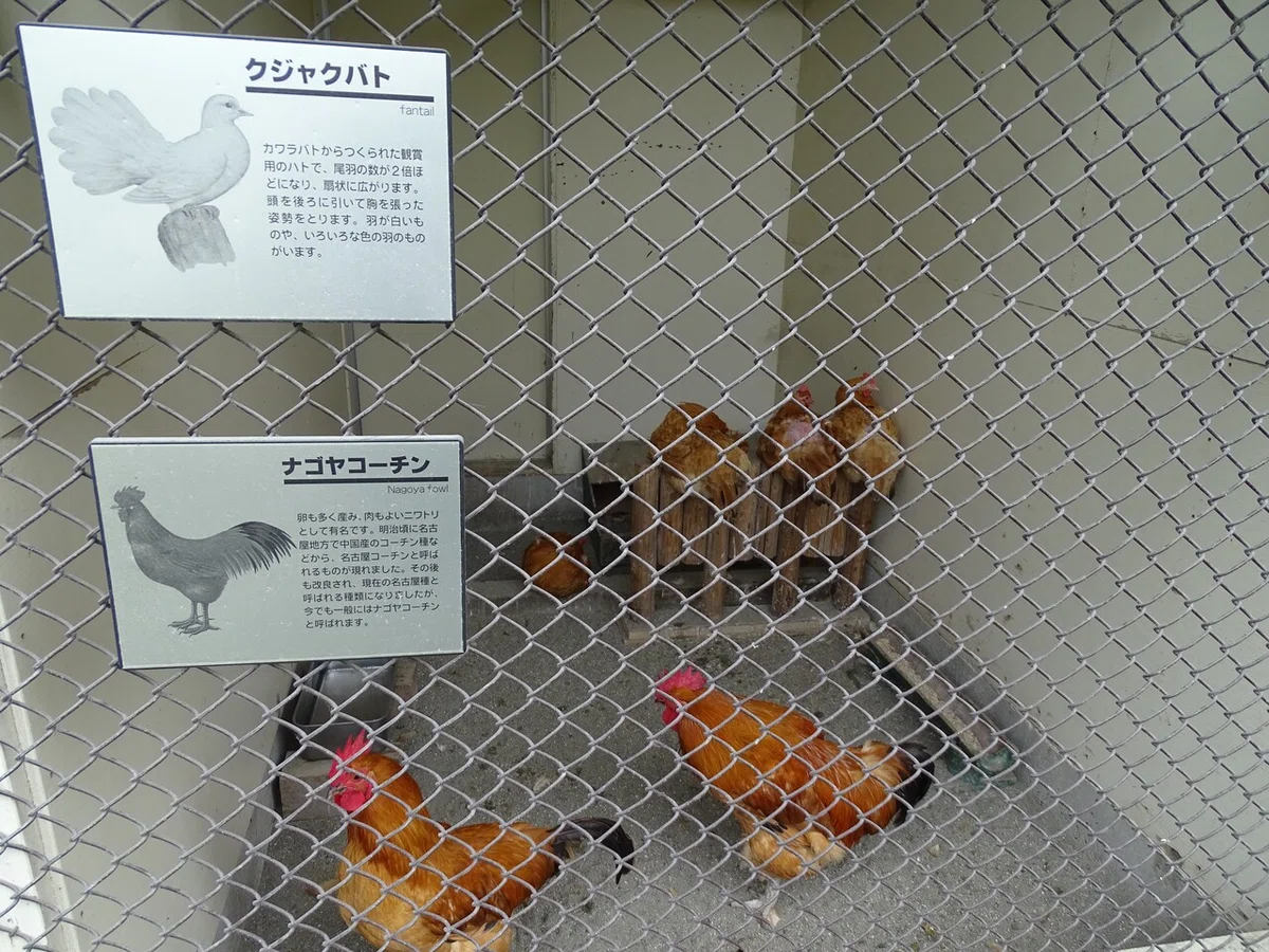 画像37