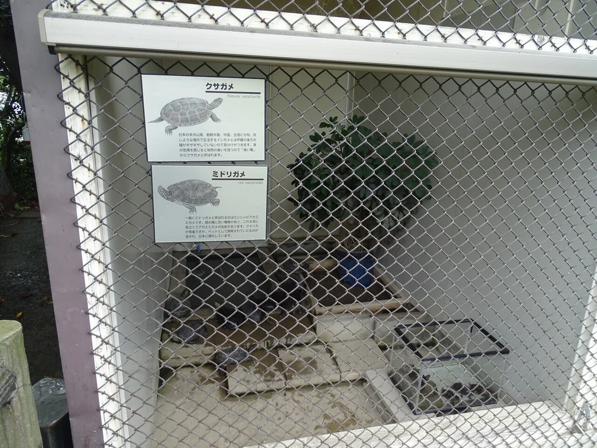 画像30