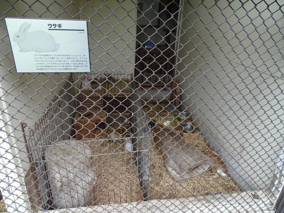 画像45