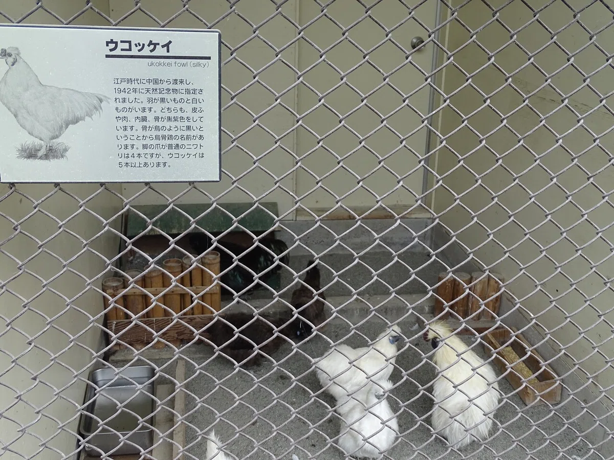 画像33