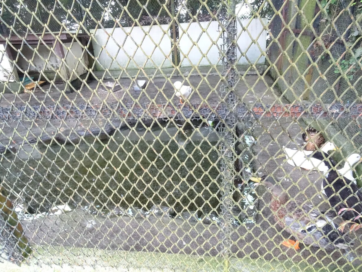 画像29