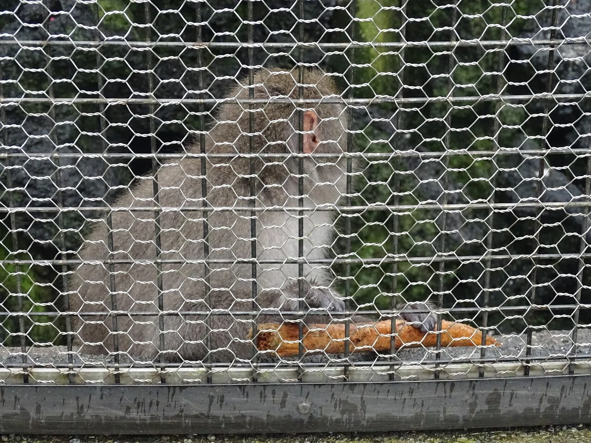 画像47