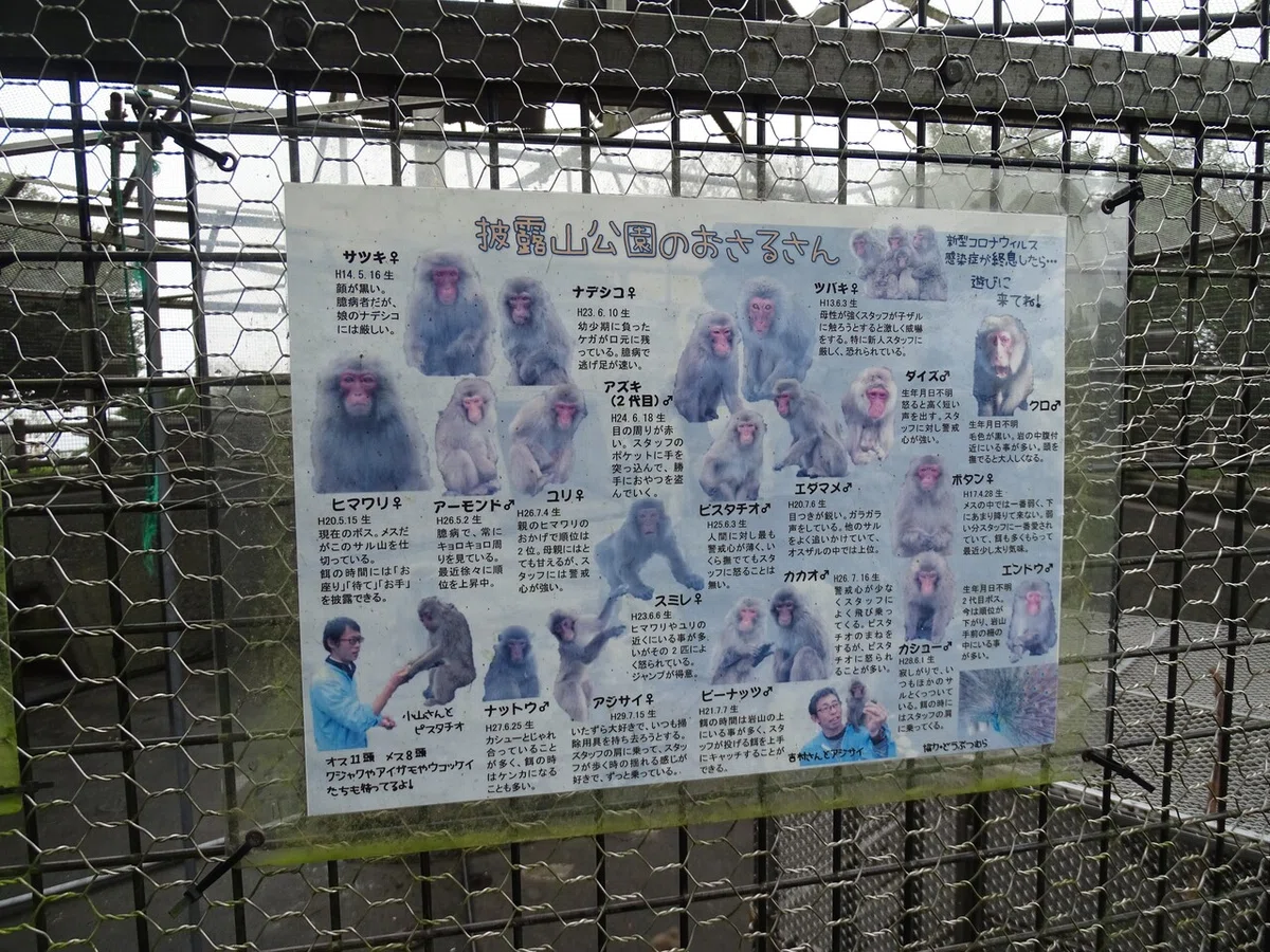 画像53
