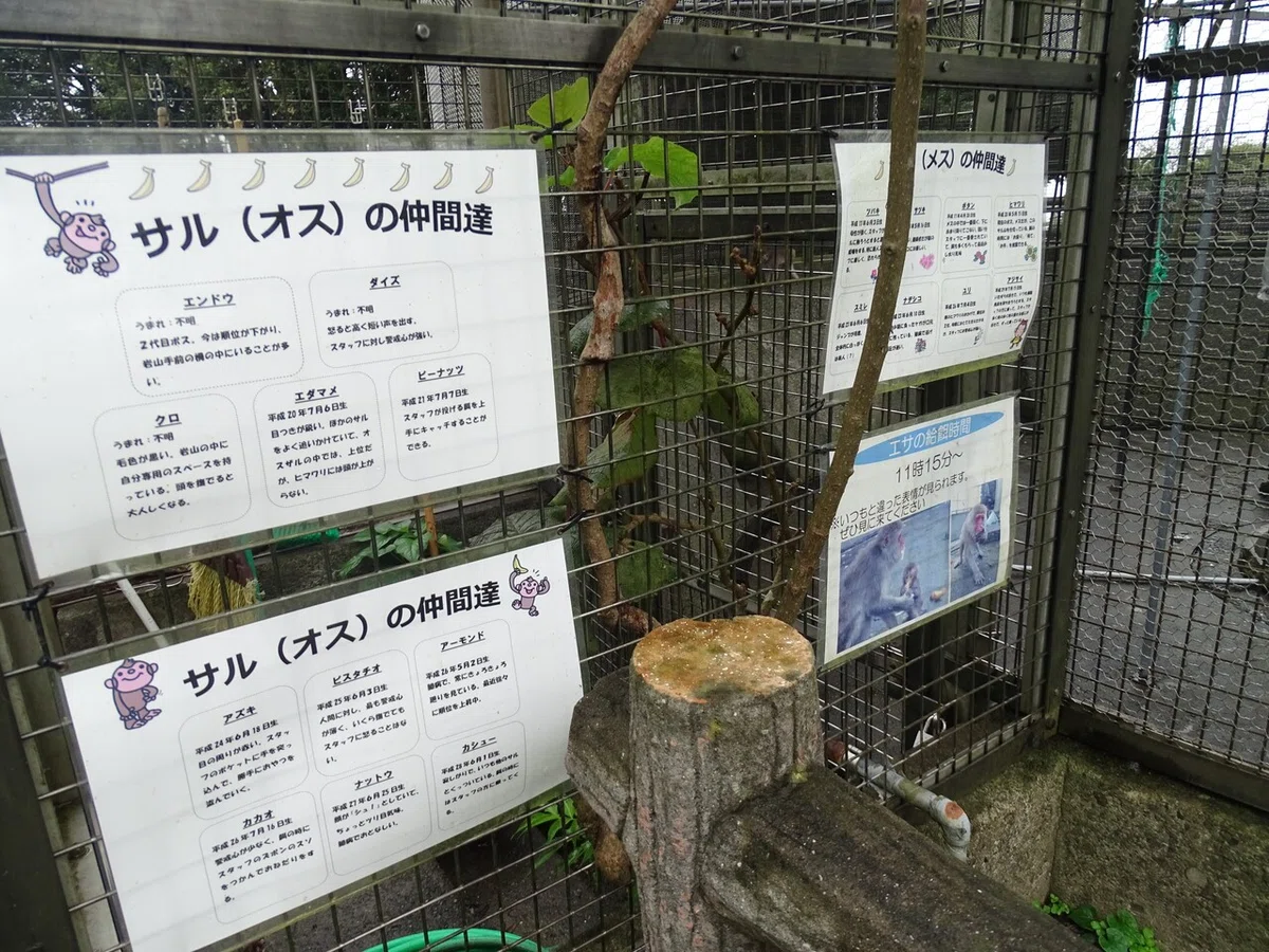画像52