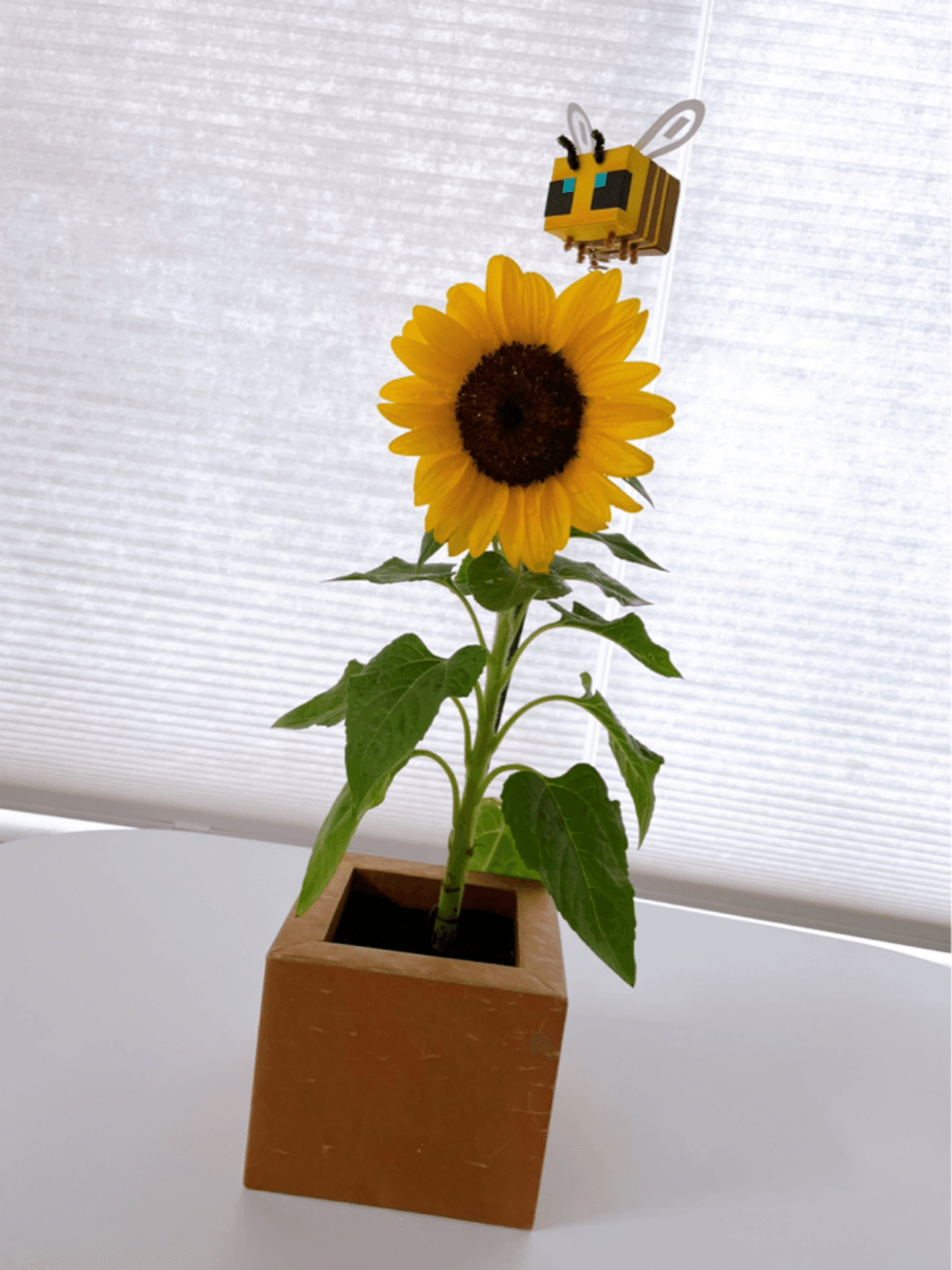 マイクラ 植物 フォトギャラリー 睡蓮鉢とメダカ Note