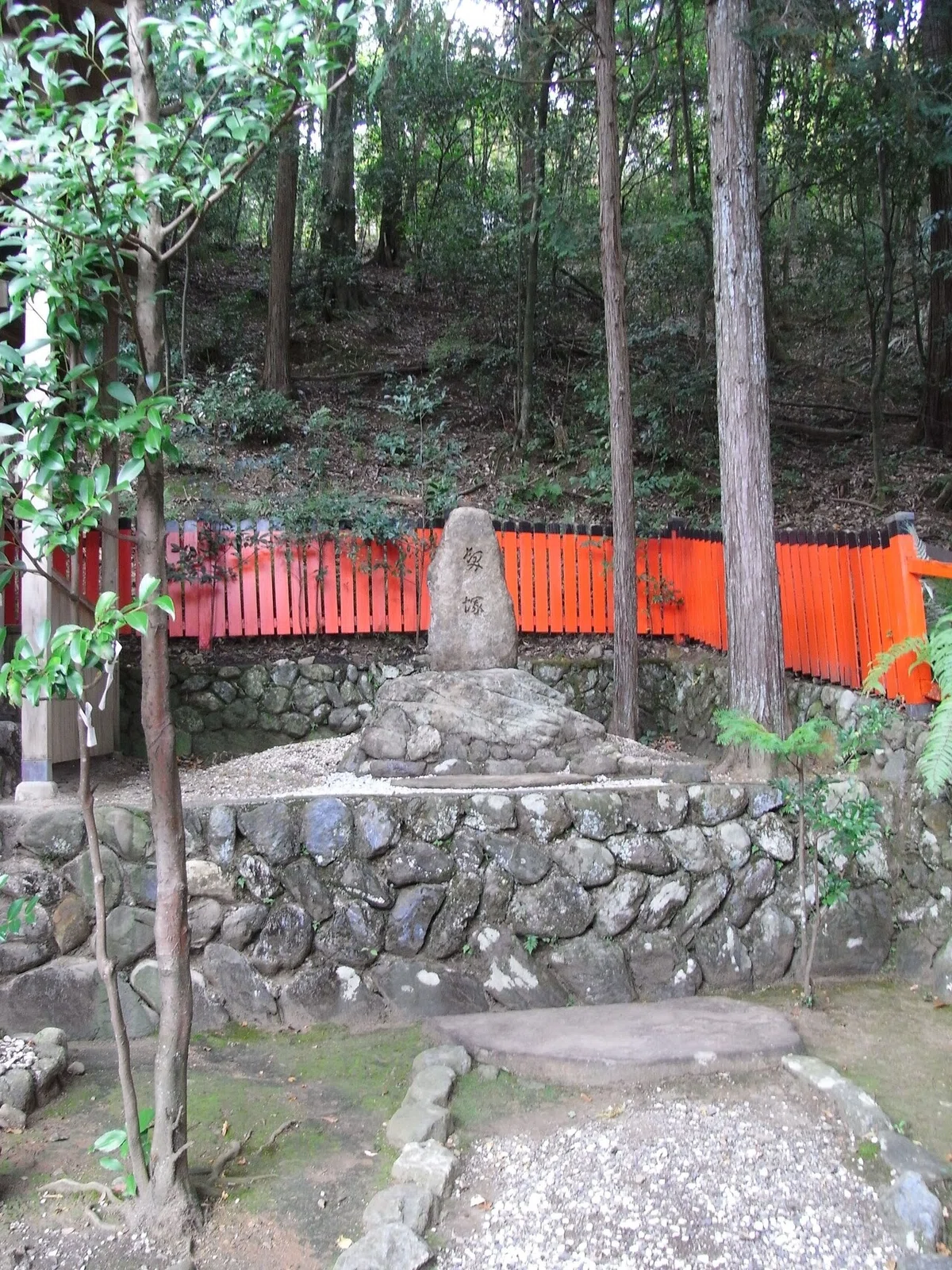 画像4