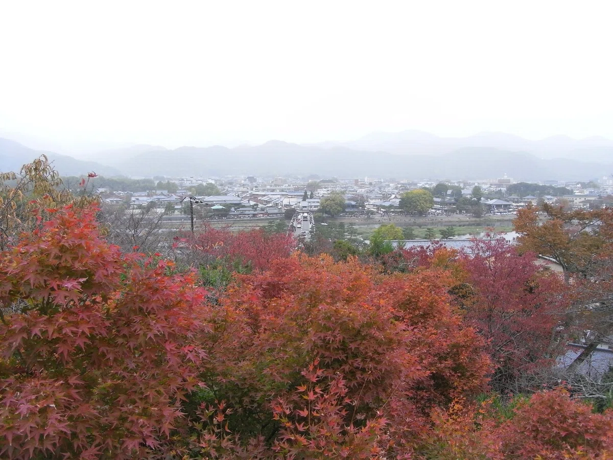 画像5