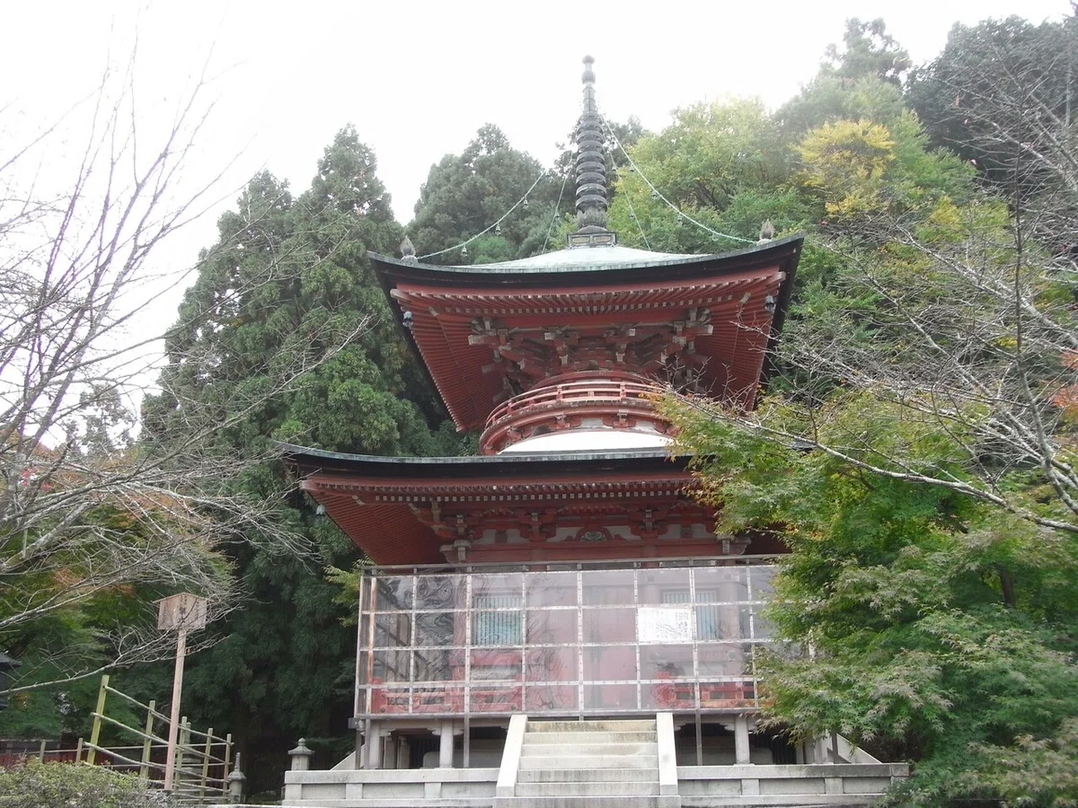 画像6